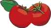 Tomates.webp